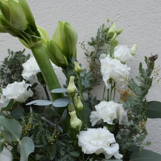 Valkoinen amarylliskimppu